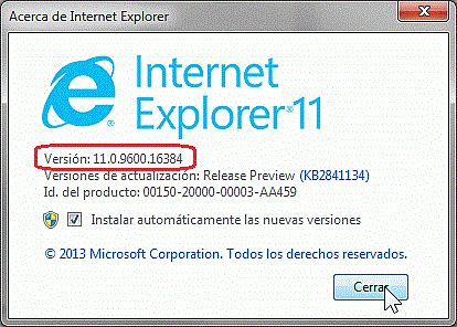 Ventana con el número de versión del Internet Explorer